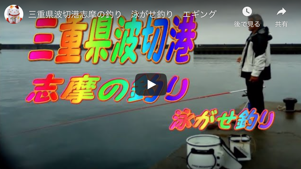 三重県波切港志摩の釣り 泳がせ釣り エギング アオリイカエギングの烏賊速報