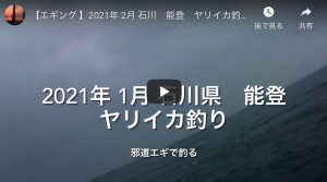 超簡単 居れば釣れちゃう 富山湾 ヤリイカ エギング アオリイカエギングの烏賊速報