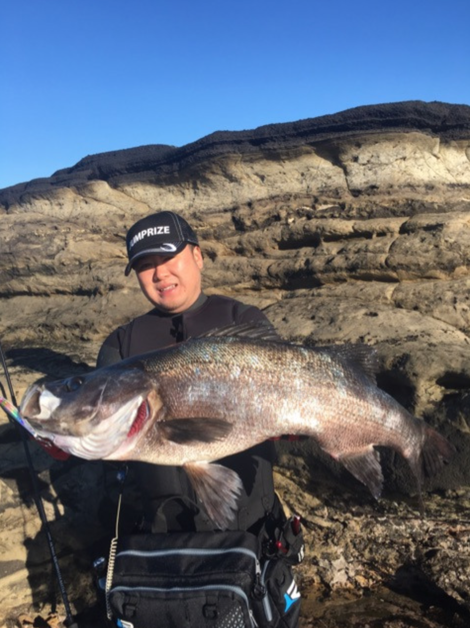 三浦半島 Monsterヒラスズキ シーバス釣り ソルトルアーフィッシングの爆釣速報