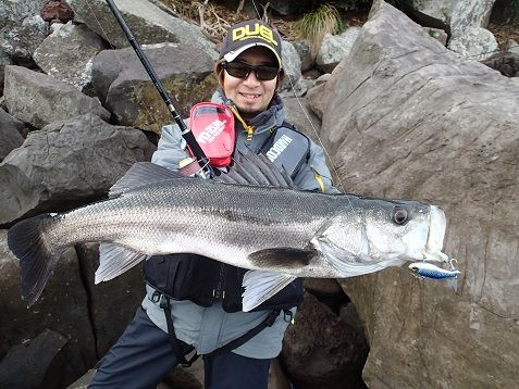 冬の磯マル 釣り方の再確認 シーバス釣り ソルトルアーフィッシングの爆釣速報