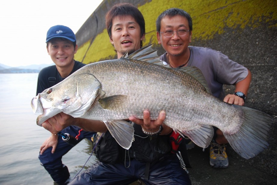 ここでアカメのお話でも！（私の思い出の魚）  シーバス釣り、ソルト 