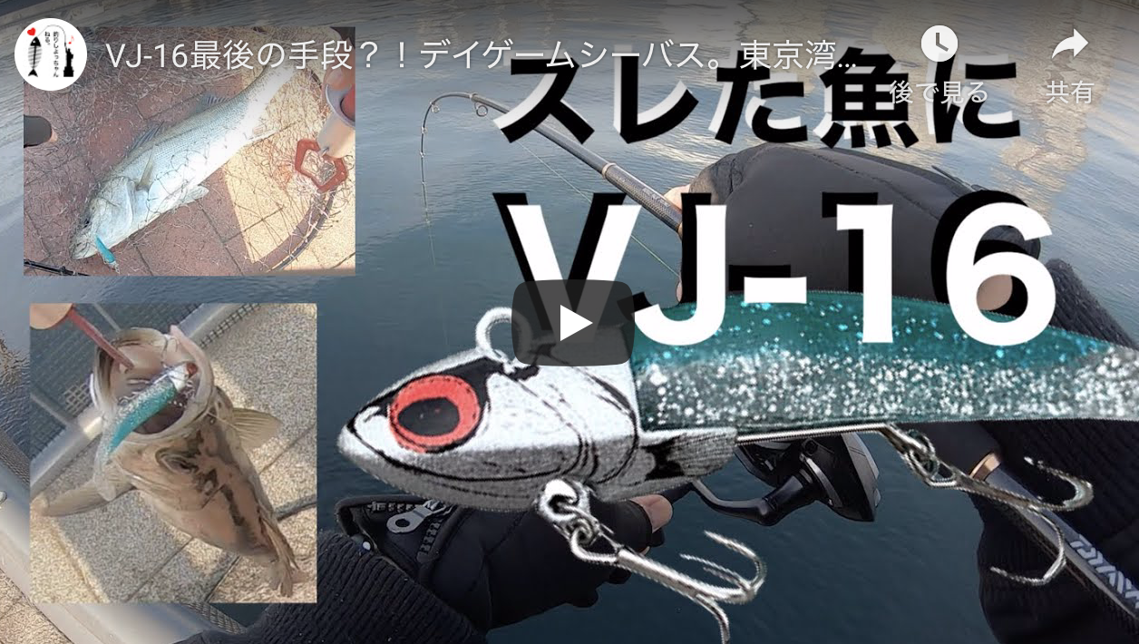 Vj 16最後の手段 デイゲームシーバス 東京湾奥釣行 Tokyo Fishing シーバス釣り ソルトルアーフィッシングの爆釣速報