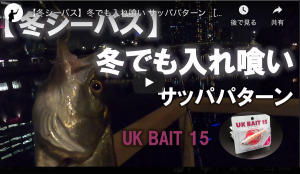 那珂川 河口 シーバス釣り 21年1月13日 那珂湊マリーナ付近 シーバス釣り ソルトルアーフィッシングの爆釣速報