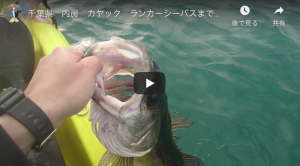 若洲海浜公園で人生初めてのシーバスが釣れた シーバス釣り ソルトルアーフィッシングの爆釣速報