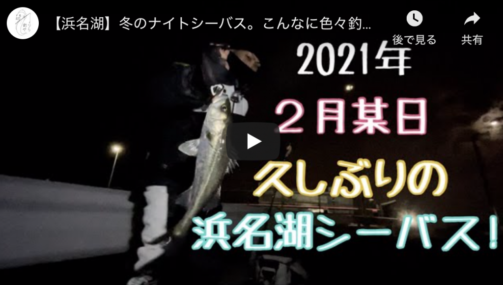 浜名湖 冬のナイトシーバス こんなに色々釣れる シーバス釣り ソルトルアーフィッシングの爆釣速報