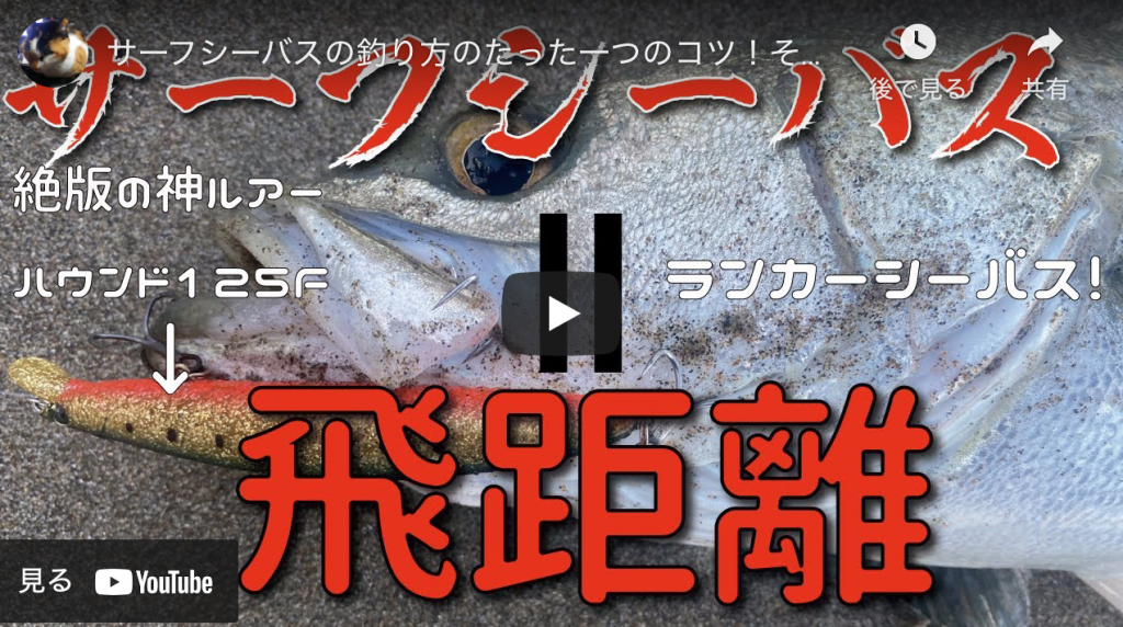 サーフシーバスの釣り方のたった一つのコツ それは飛距離 シーバスが居る時に遠くに投げれば誰でも釣れる ランカーも釣れました シーバス釣り ソルトルアーフィッシングの爆釣速報